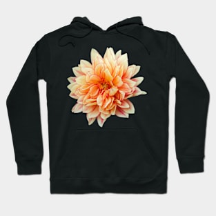 Dahlia Hoodie